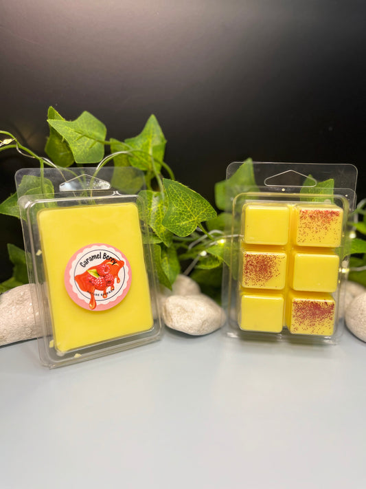 ✨Tableta wax melts 🍫(+90h)🤍🩵