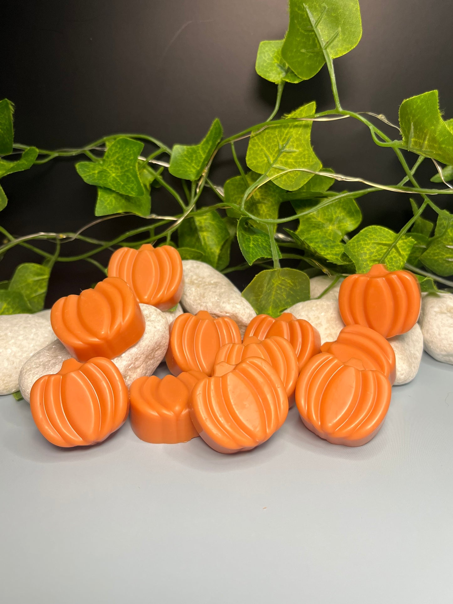 ✨Wax melts “Calabaza Especiada”🎃🧡