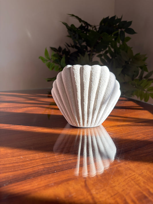 ✨Quemador Concha 🐚