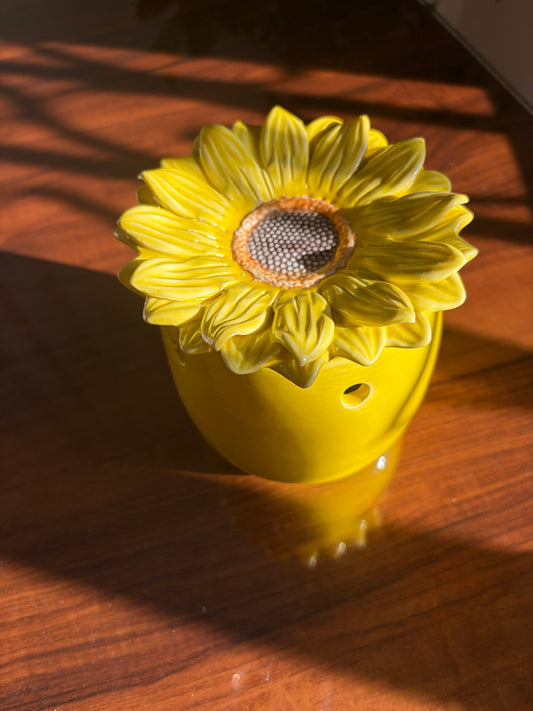 ✨Quemador Girasol 🌻