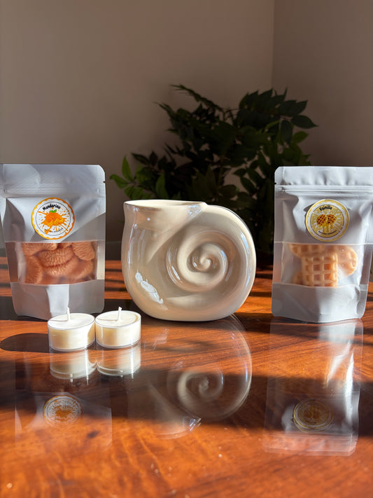 ✨Pack Concha Espiral 🐚