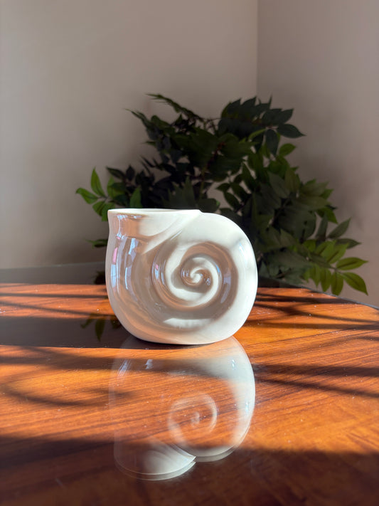 ✨ Quemador Concha Espiral 🐚