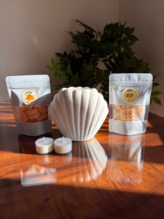 ✨Pack Concha 🐚