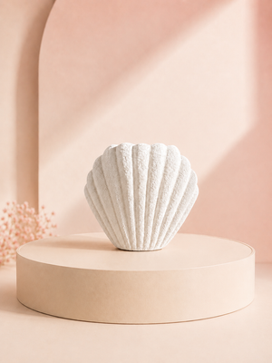 ✨Quemador Concha 🐚