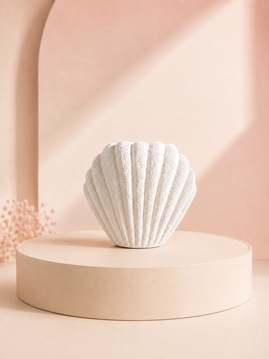 ✨Quemador Concha 🐚