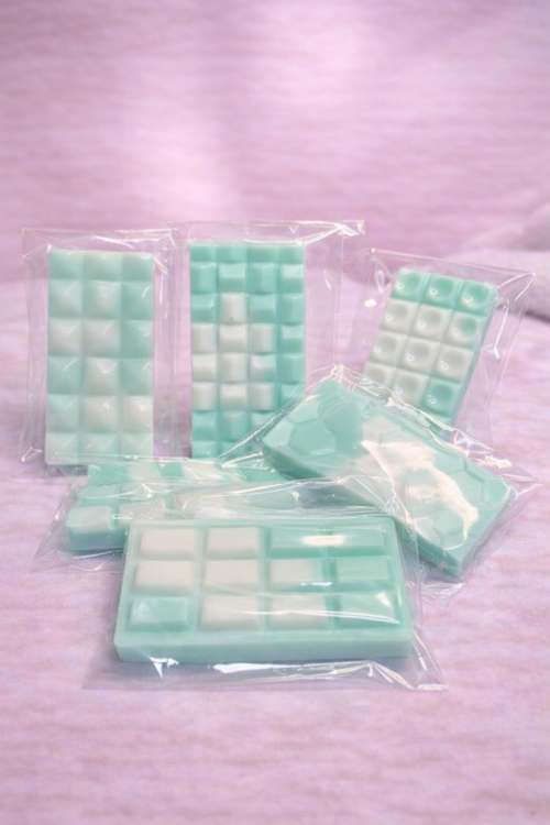 🌿Tableta Mini Wax melts “eucalipto ”🤍🌱