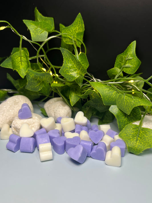 💜 Wax Melts “Lavanda Dreams” 🌿💫