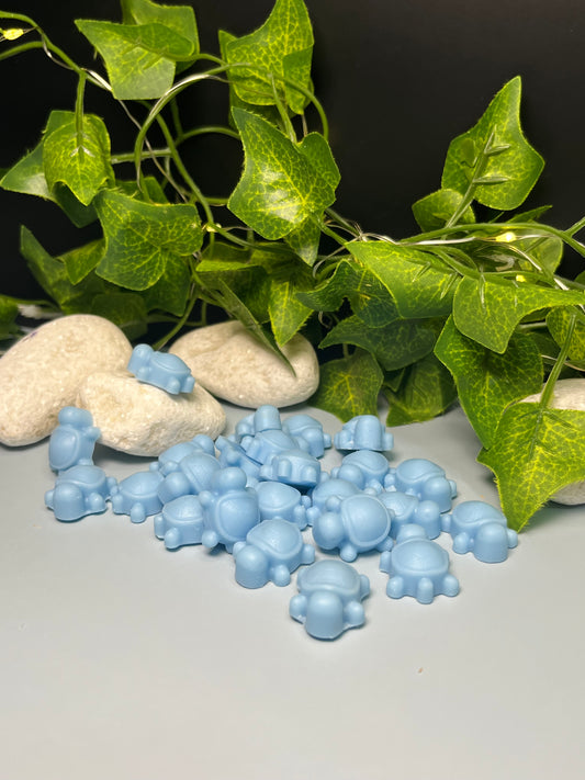 🐢 Wax Melts “Coco Paradise” 🥥💙