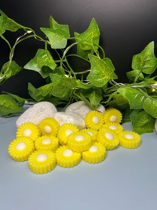 ✨Wax melts “ Dama de la guadaña “🖤🌿