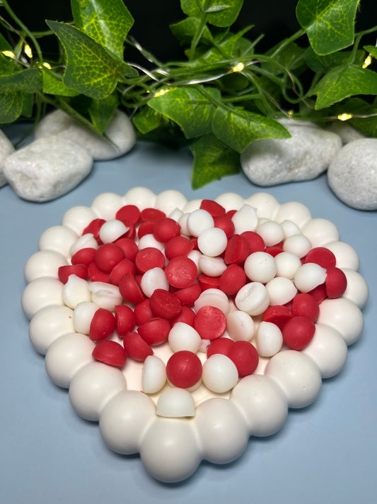 🍉Wax melts” Sandía”❤️☀️