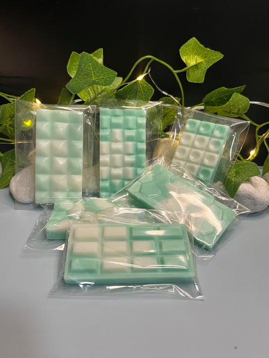 🌿Tableta Mini Wax melts “eucalipto ”🤍🌱